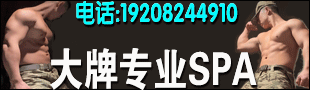 ����רҵSPA
